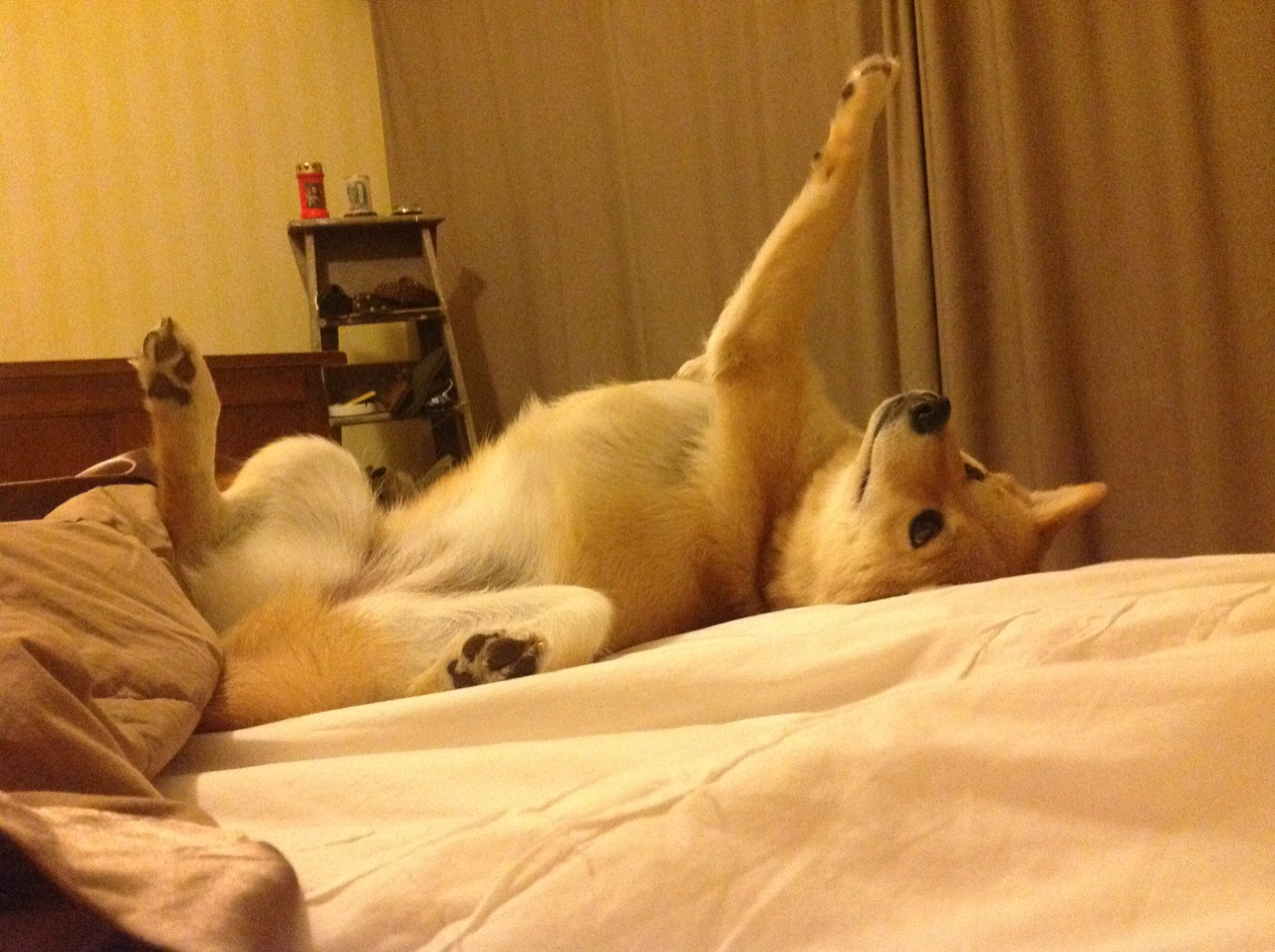 巨人杀手!北京爆冷掀翻深圳,东契奇一役封神,今夜全场只为他闪耀